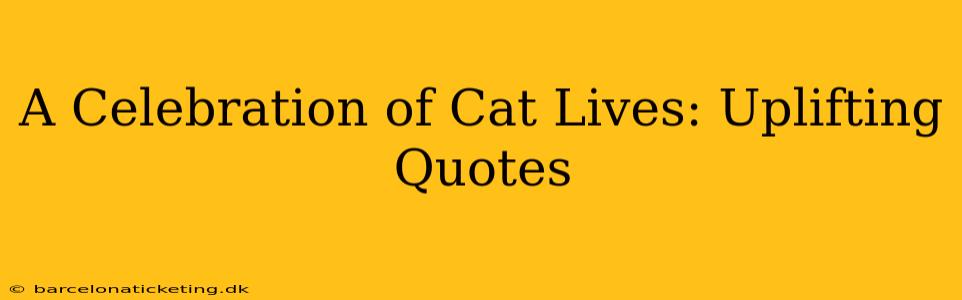 A Celebration of Cat Lives: Uplifting Quotes