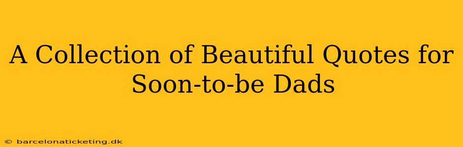 A Collection of Beautiful Quotes for Soon-to-be Dads