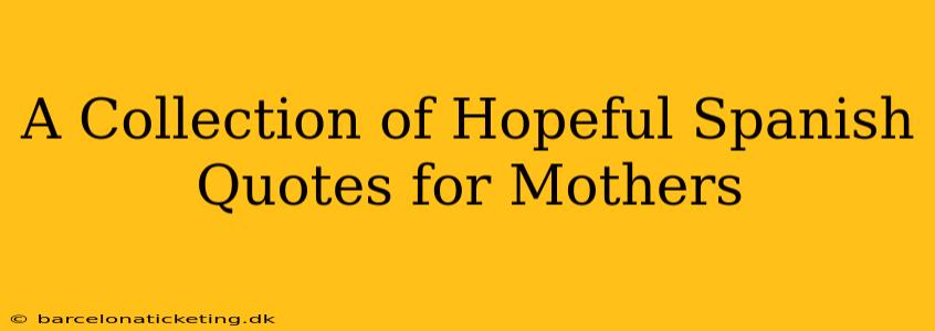 A Collection of Hopeful Spanish Quotes for Mothers