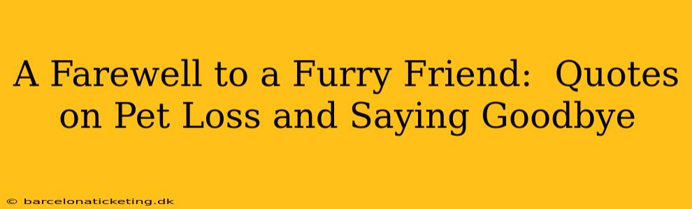 A Farewell to a Furry Friend:  Quotes on Pet Loss and Saying Goodbye