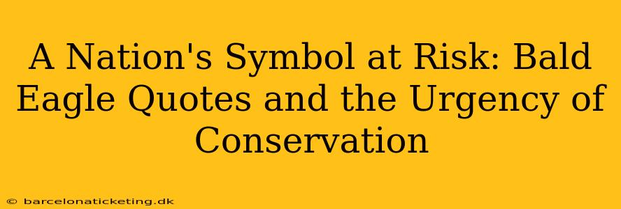 A Nation's Symbol at Risk: Bald Eagle Quotes and the Urgency of Conservation