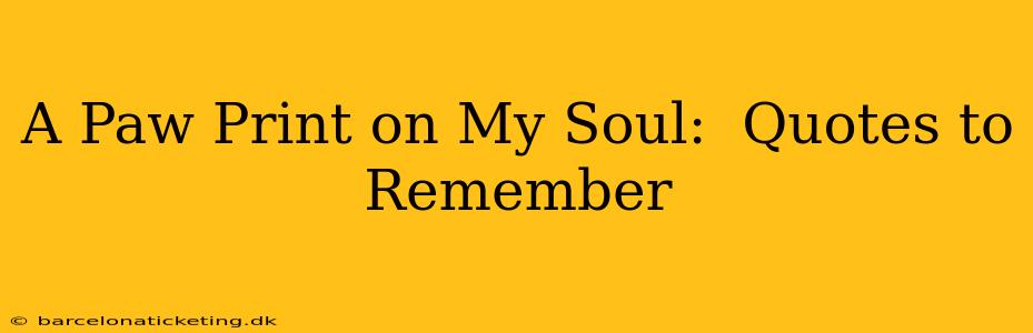 A Paw Print on My Soul:  Quotes to Remember