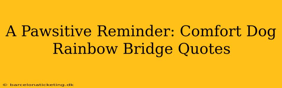 A Pawsitive Reminder: Comfort Dog Rainbow Bridge Quotes