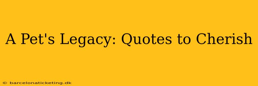 A Pet's Legacy: Quotes to Cherish