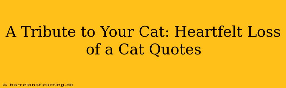 A Tribute to Your Cat: Heartfelt Loss of a Cat Quotes