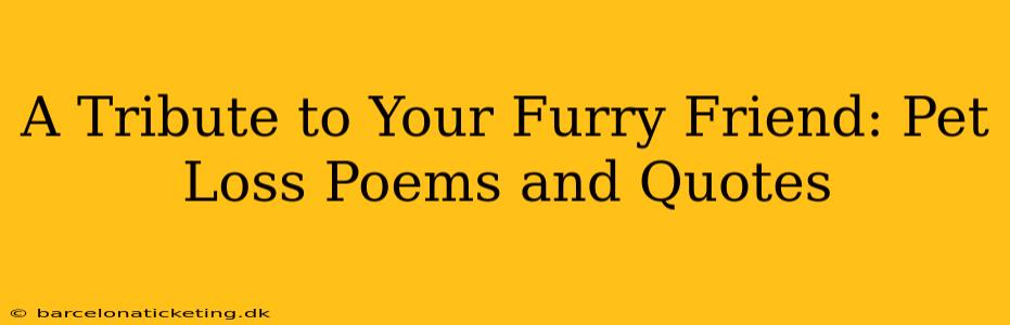 A Tribute to Your Furry Friend: Pet Loss Poems and Quotes