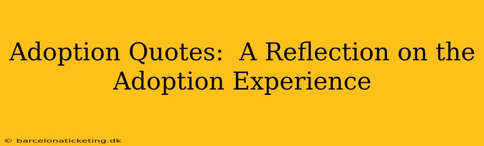 Adoption Quotes:  A Reflection on the Adoption Experience