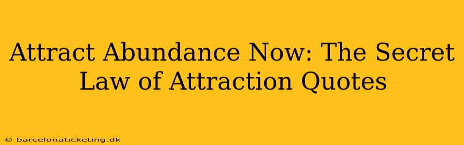 Attract Abundance Now: The Secret Law of Attraction Quotes