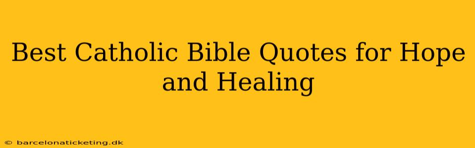 Best Catholic Bible Quotes for Hope and Healing