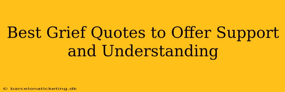 Best Grief Quotes to Offer Support and Understanding