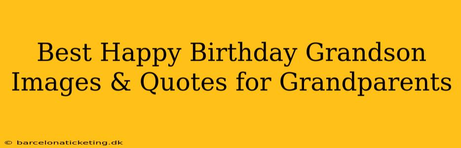 Best Happy Birthday Grandson Images & Quotes for Grandparents
