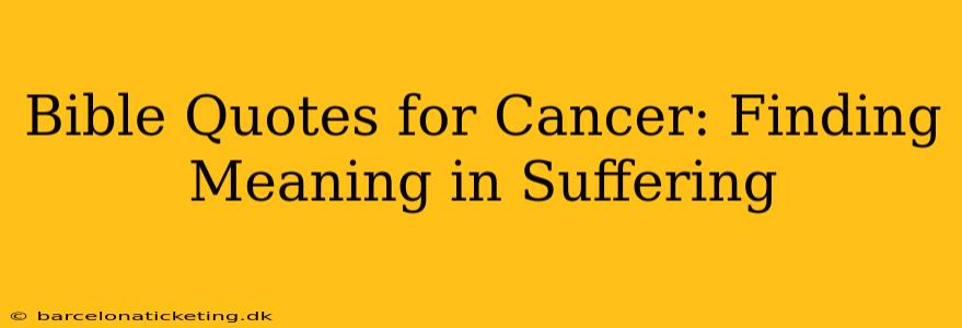 Bible Quotes for Cancer: Finding Meaning in Suffering
