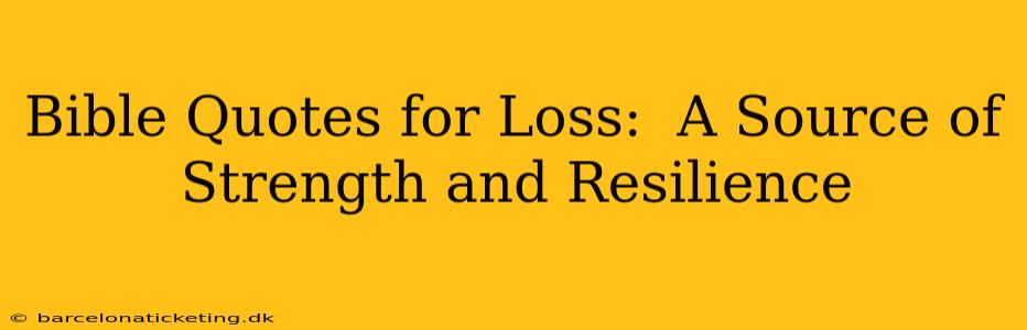Bible Quotes for Loss:  A Source of Strength and Resilience