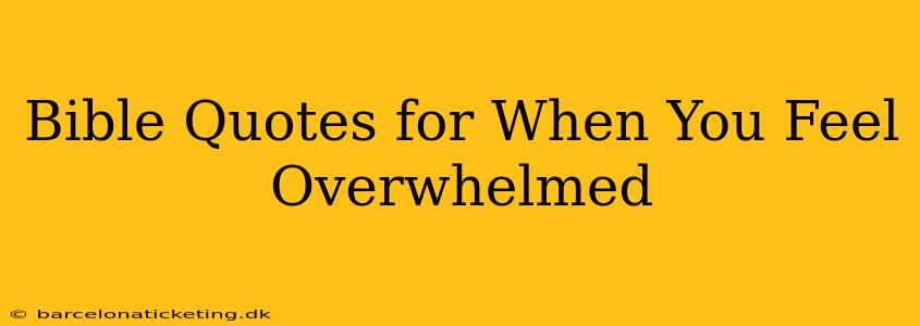 Bible Quotes for When You Feel Overwhelmed