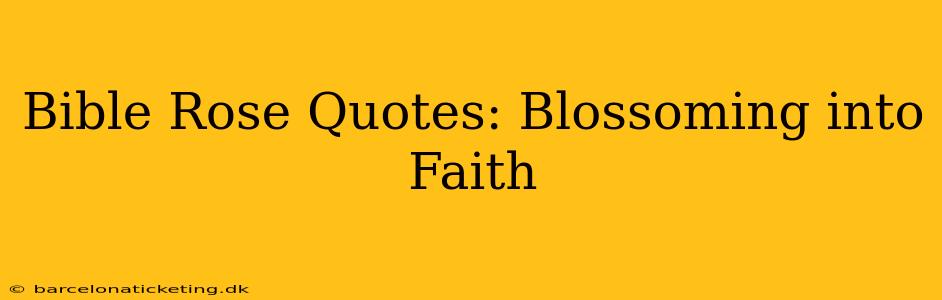 Bible Rose Quotes: Blossoming into Faith