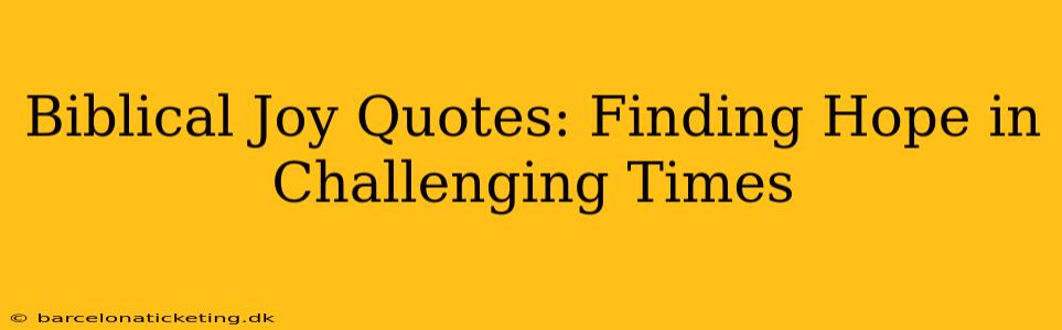 Biblical Joy Quotes: Finding Hope in Challenging Times