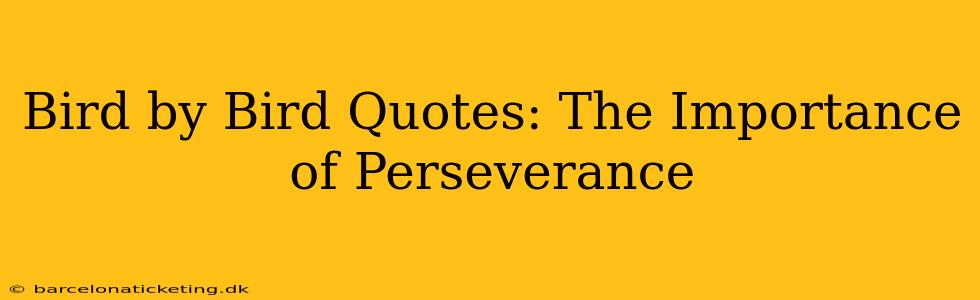 Bird by Bird Quotes: The Importance of Perseverance