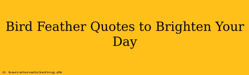Bird Feather Quotes to Brighten Your Day