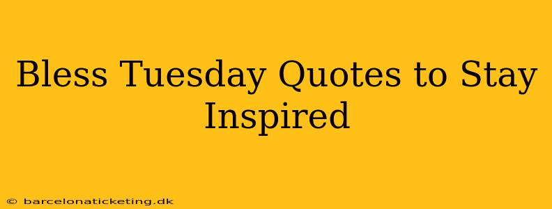 Bless Tuesday Quotes to Stay Inspired