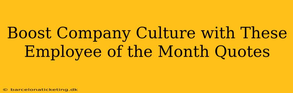 Boost Company Culture with These Employee of the Month Quotes