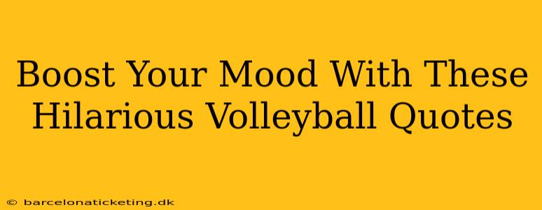 Boost Your Mood With These Hilarious Volleyball Quotes