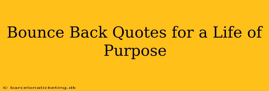 Bounce Back Quotes for a Life of Purpose