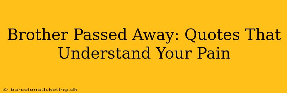 Brother Passed Away: Quotes That Understand Your Pain