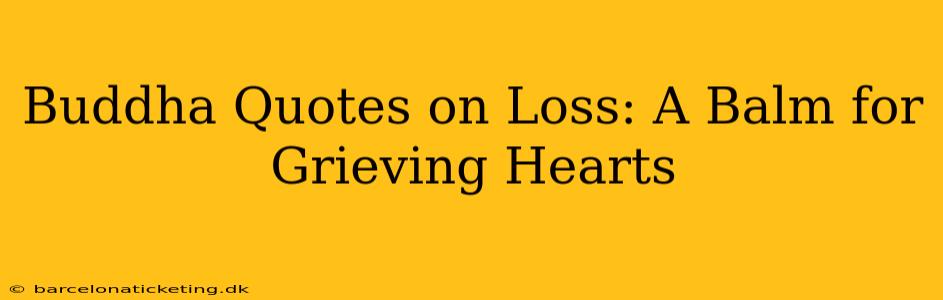 Buddha Quotes on Loss: A Balm for Grieving Hearts