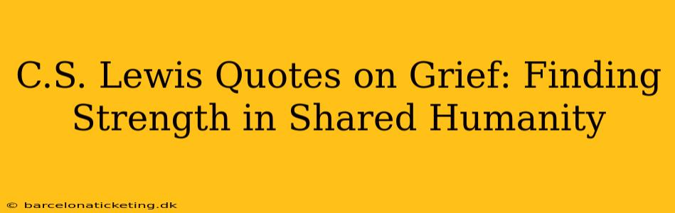 C.S. Lewis Quotes on Grief: Finding Strength in Shared Humanity