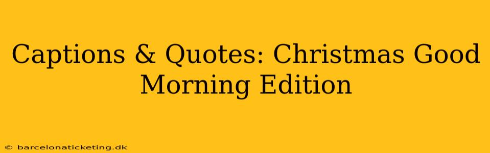 Captions & Quotes: Christmas Good Morning Edition
