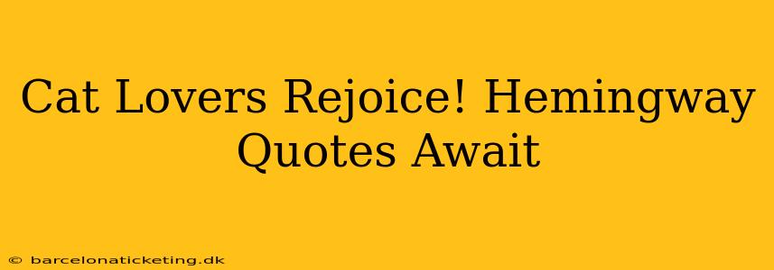 Cat Lovers Rejoice! Hemingway Quotes Await