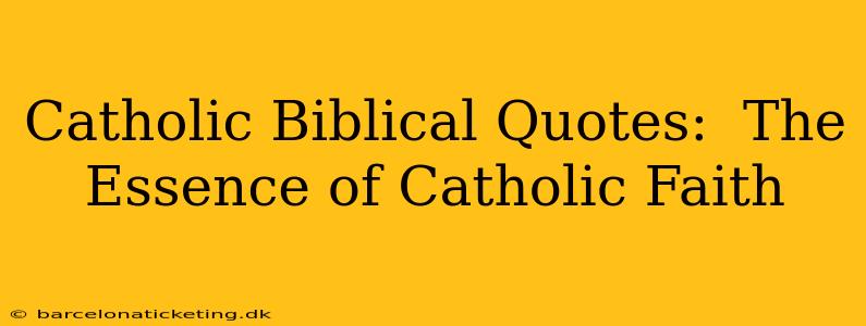 Catholic Biblical Quotes:  The Essence of Catholic Faith