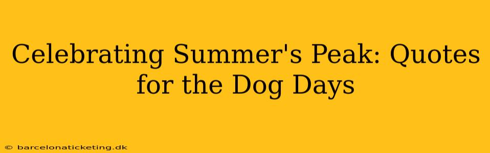 Celebrating Summer's Peak: Quotes for the Dog Days