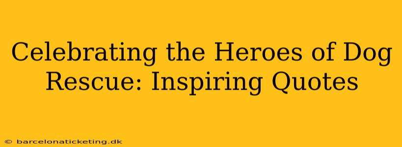 Celebrating the Heroes of Dog Rescue: Inspiring Quotes