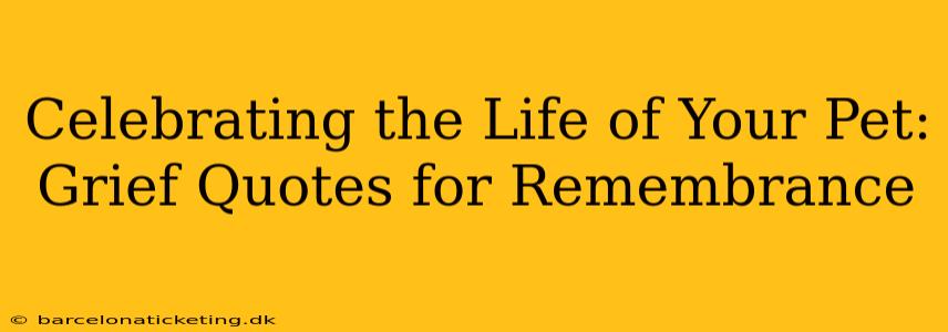 Celebrating the Life of Your Pet: Grief Quotes for Remembrance