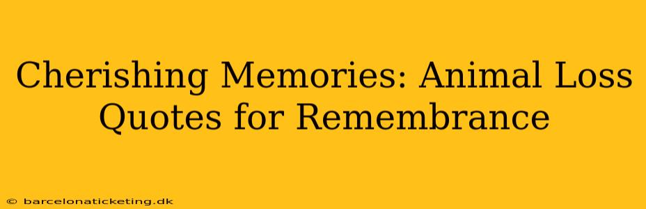 Cherishing Memories: Animal Loss Quotes for Remembrance