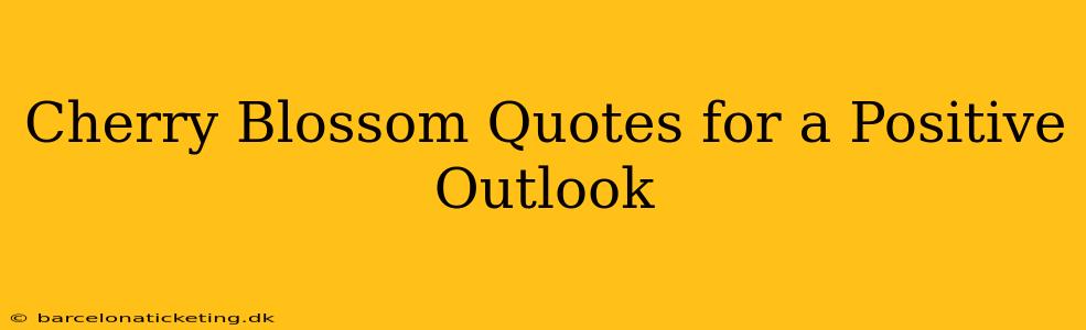Cherry Blossom Quotes for a Positive Outlook