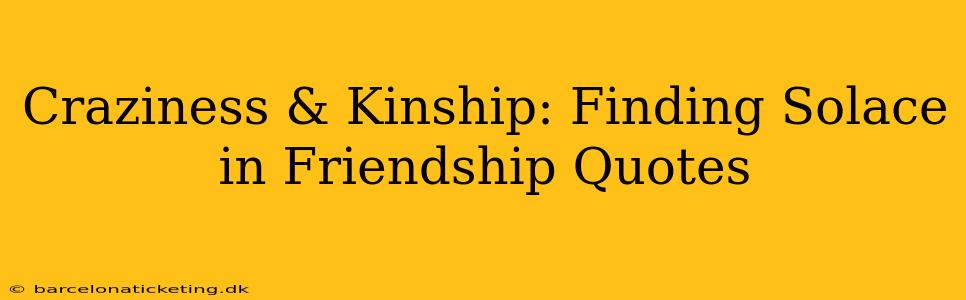 Craziness & Kinship: Finding Solace in Friendship Quotes