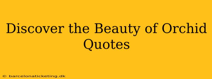 Discover the Beauty of Orchid Quotes