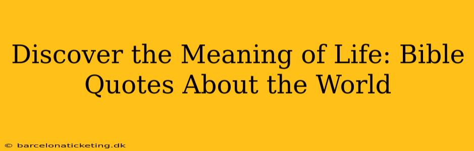 Discover the Meaning of Life: Bible Quotes About the World