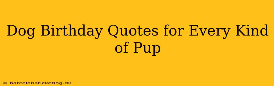 Dog Birthday Quotes for Every Kind of Pup