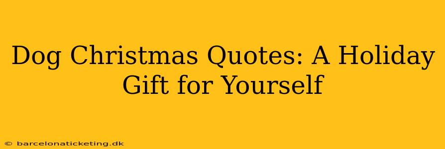 Dog Christmas Quotes: A Holiday Gift for Yourself