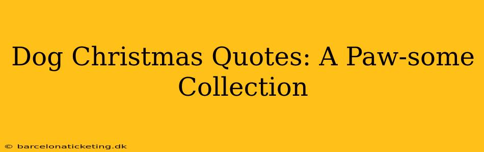 Dog Christmas Quotes: A Paw-some Collection
