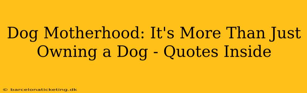 Dog Motherhood: It's More Than Just Owning a Dog - Quotes Inside