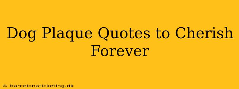 Dog Plaque Quotes to Cherish Forever