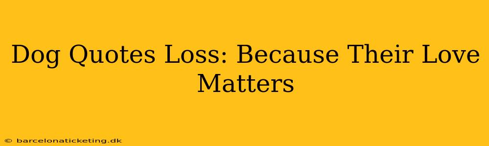 Dog Quotes Loss: Because Their Love Matters
