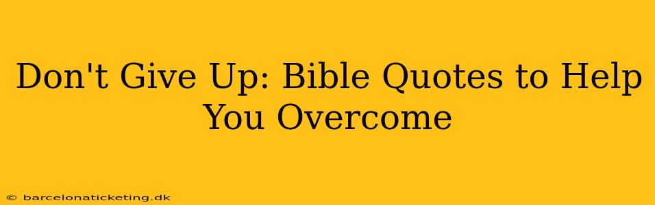 Don't Give Up: Bible Quotes to Help You Overcome