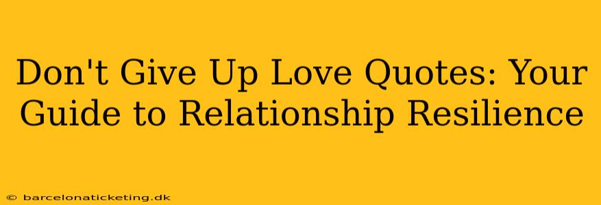 Don't Give Up Love Quotes: Your Guide to Relationship Resilience