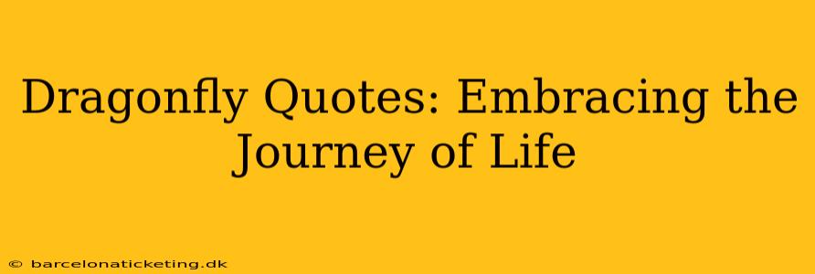 Dragonfly Quotes: Embracing the Journey of Life