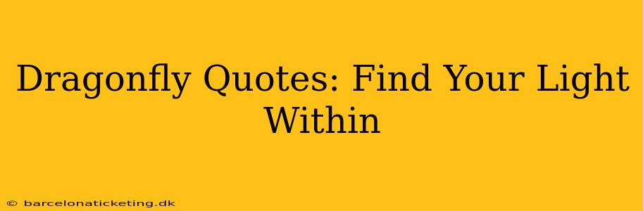 Dragonfly Quotes: Find Your Light Within